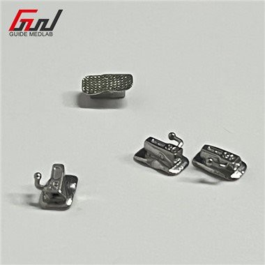 الأنبوب المولي للأسنان